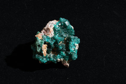 Dioptase Specimen - Congo