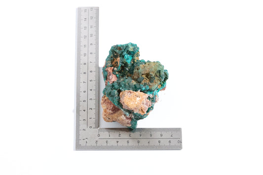 Dioptase Specimen - Congo