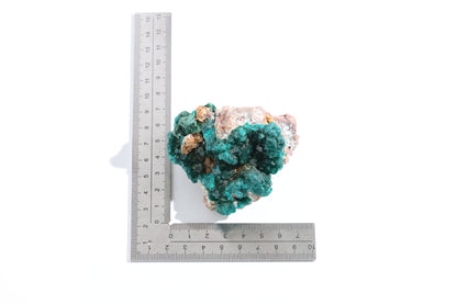Dioptase Specimen - Congo