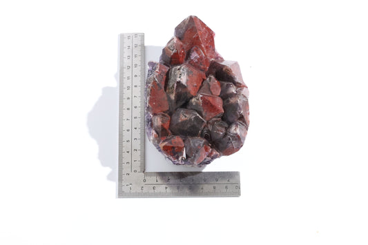 Alien Amethyst Specimen - India